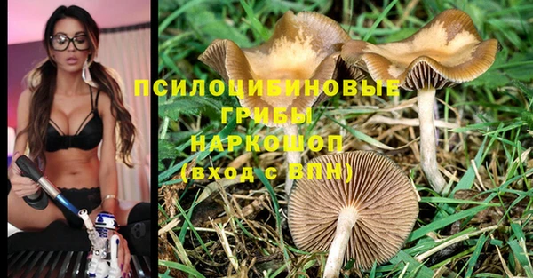 гашиш Медногорск