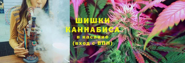 спиды Мегион